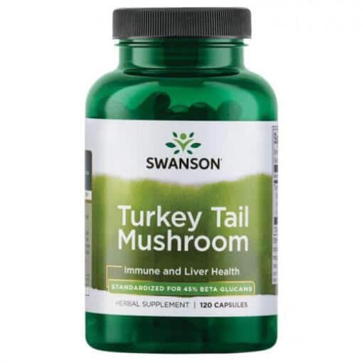 Turkey Tail Mushroom - 120 caps