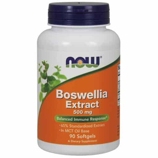 NOW Foods - Boswellia Extract