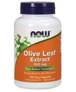 NOW Foods - Olive Leaf Extract