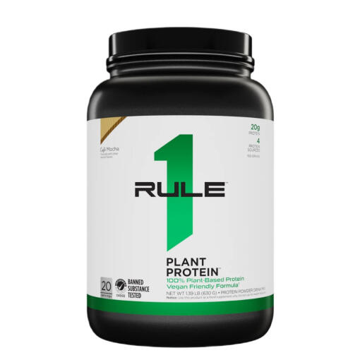 Plant Protein