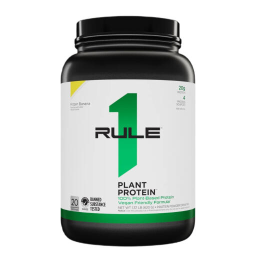 Plant Protein